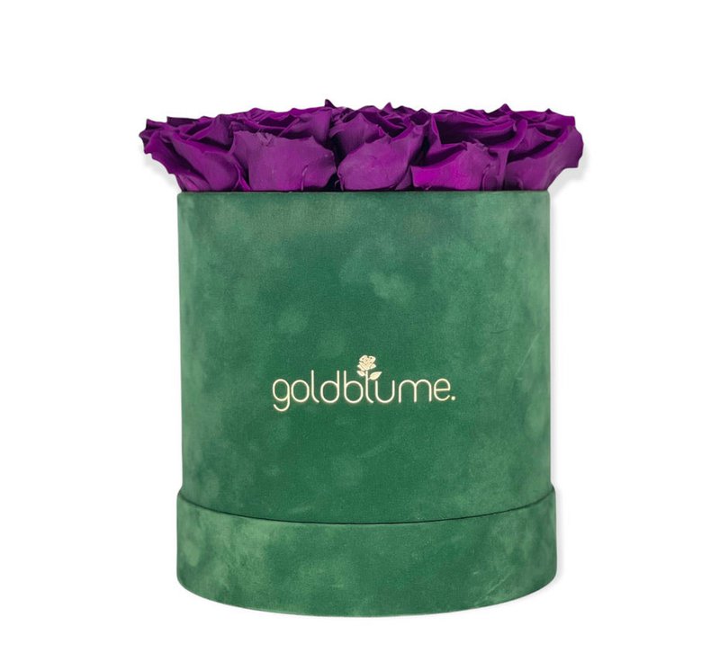 Velvet Green Collection