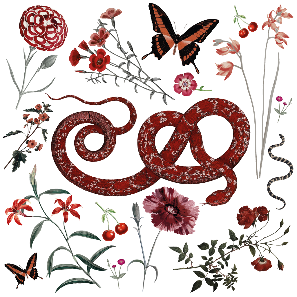 Wild rood - Tijdelijke tatoeages