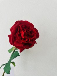 QMF Hand Touch Rose 65 cm 1 STK rød