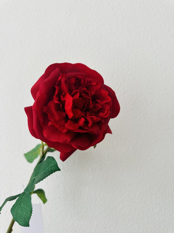 QMF Hand Touch Rose 65 cm 1 STK rød