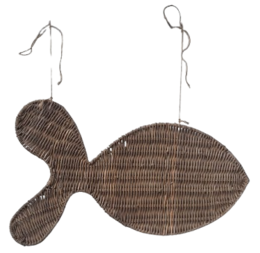 Big hanging fish
