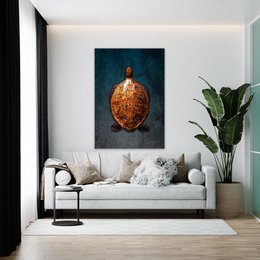 Decorative wall hanging featuring a detailed, textured image of a turtle shell against a dark background.