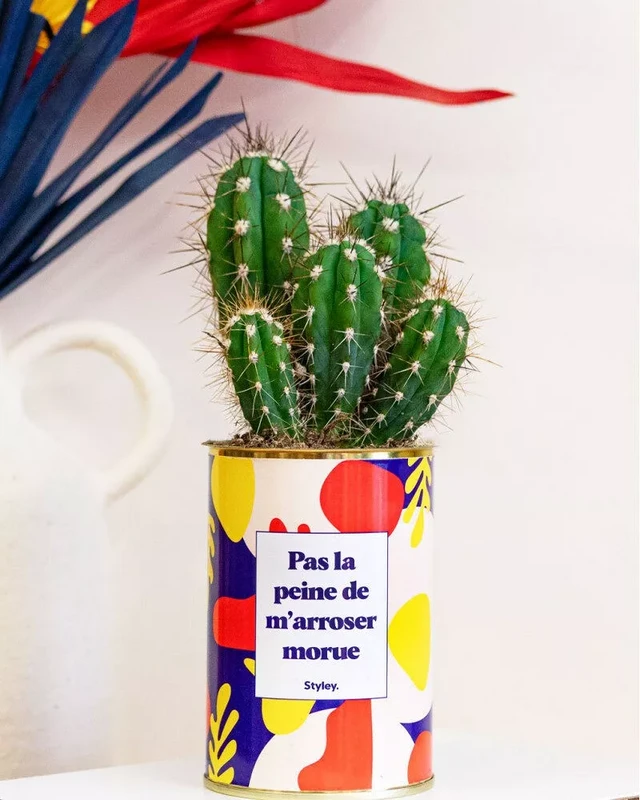 Paquete más vendido
