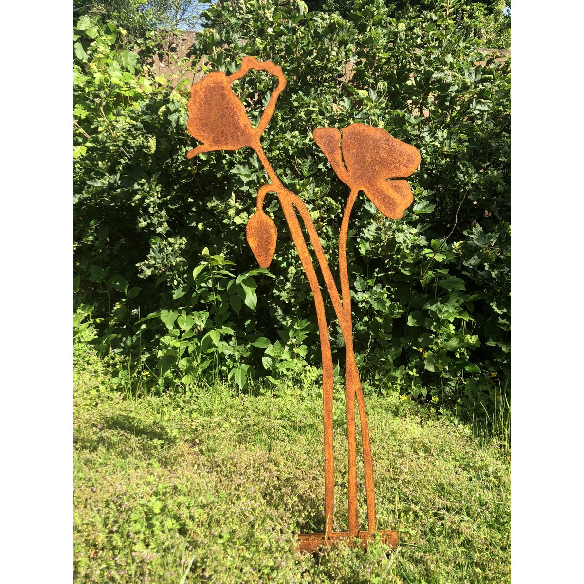 Poppy with flower bud | corten stem