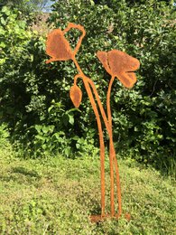 Coquelicot avec bouton floral | tige de corten
