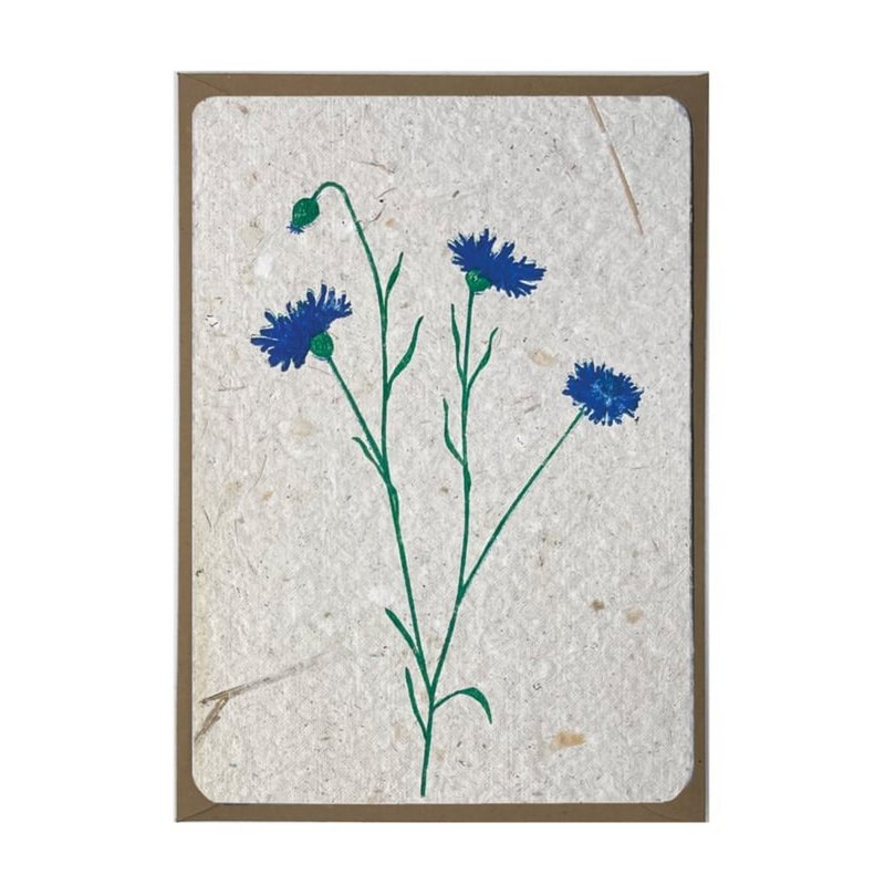 korenbloem