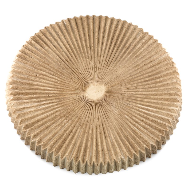 Earthenware plateau salty