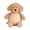 Labradoodle