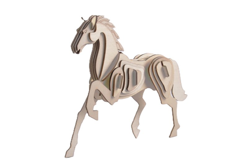 Caballo de paquete de kitings