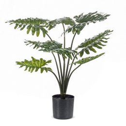 Kunstplant - Philodendron - 60 cm