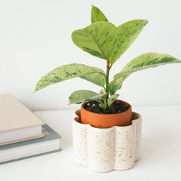 Selvvandende pot Paulita (r) - Speckled White