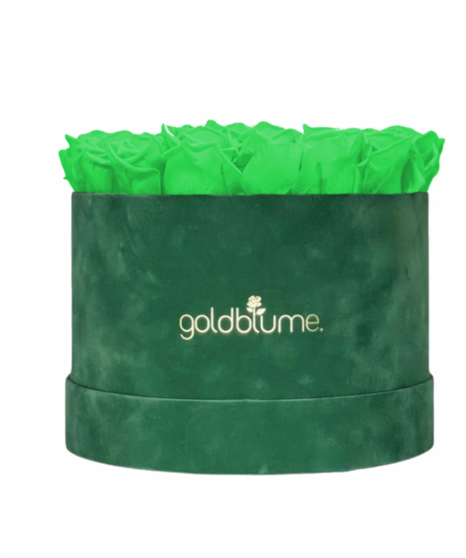 Velvet Green Collection