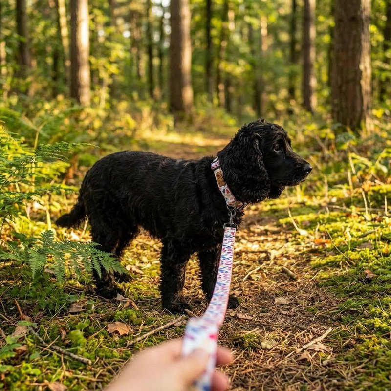 Petals dog leash