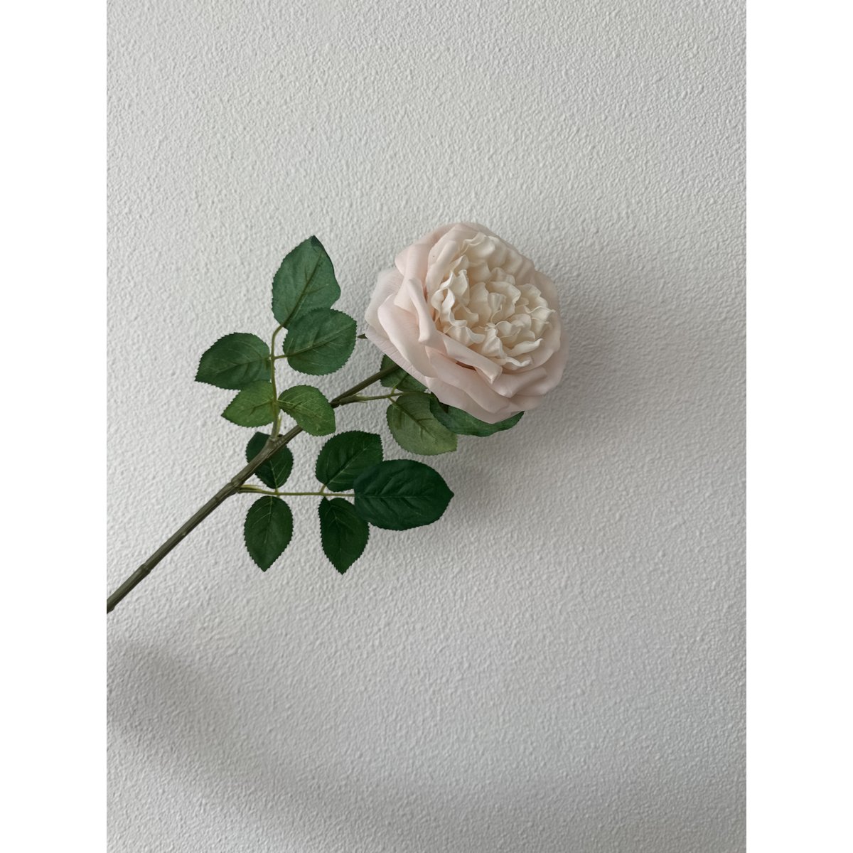 QMF Touch Rose 65cm Lys pink 2STK