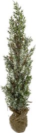 Natural artificial Christmas tree on jute stand 45 cm