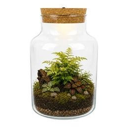 Glass Terrarium with LED Cork W-395H 25 cm