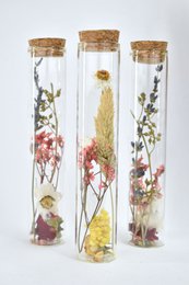 Tubi di fiori secchi - 15 cm
