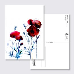 Red poppy flowers on a simple postcard design. The vibrant red petals stand out against the blue and white background, creating a beautiful and eye-catching image.