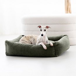 TEDDY I KLASSISK HUNDEBETT