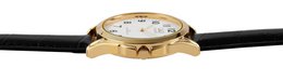 Q&Q men's watch with imitation leather strap, black/gold, 3 bar