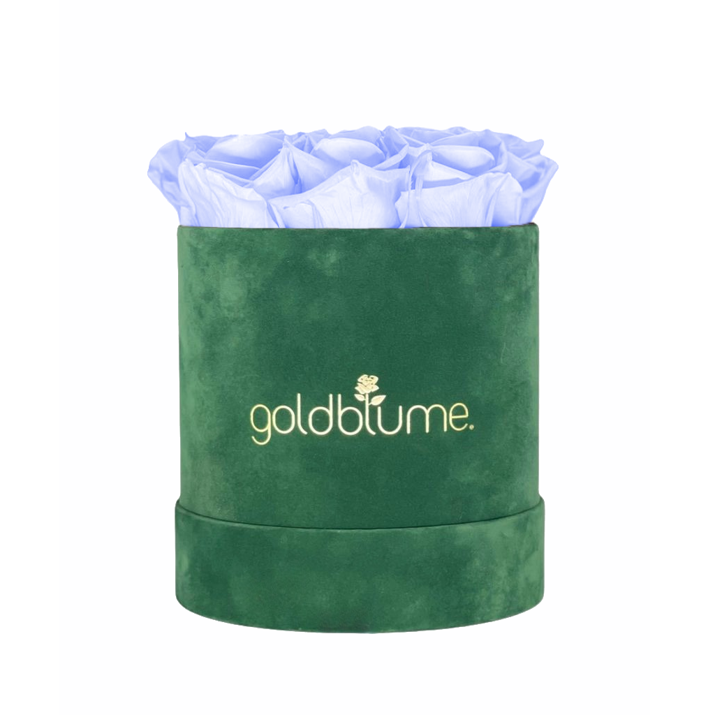Velvet Green Collection