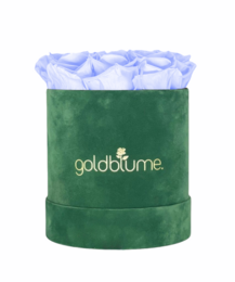 Velvet Green Collection