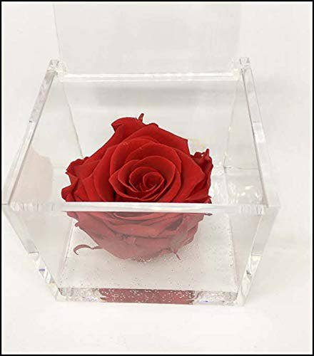 Rød duftende Eternal Rose Cube 8 cm Valentinsdagsgave