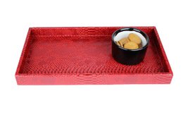 Plateau rectangulaire pour reptiles rouge