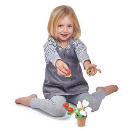Pot de fleurs avec des fraises