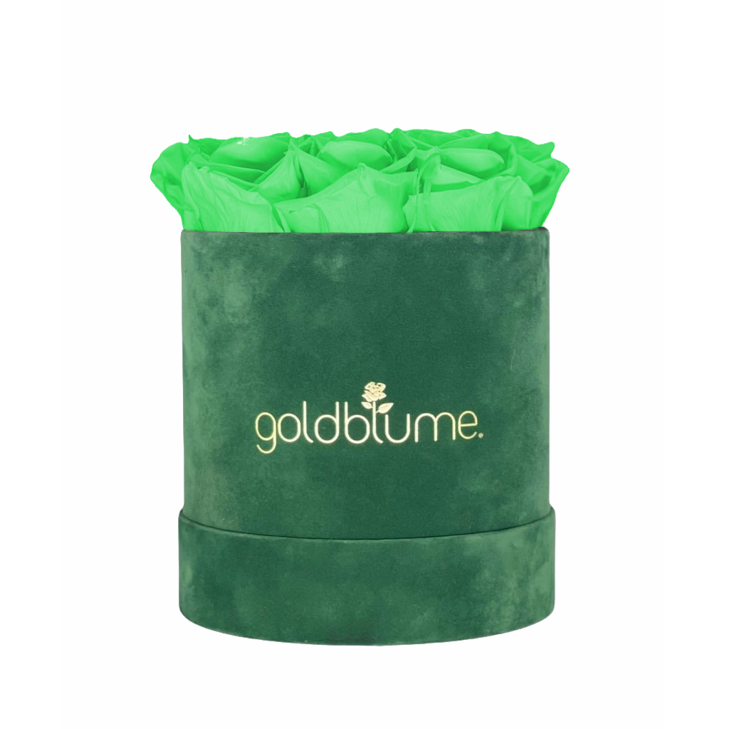Velvet Green Collection