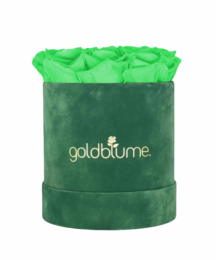 Velvet Green Collection