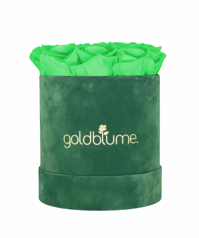 Velvet Green Collection