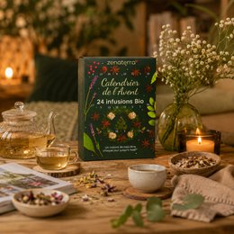Calendario dell'Avvento 24 Tisane Biologiche – Infusi di Piante, Frutta e Spezie 100% Naturali – Confezione Regalo Gourmet & Benessere Senza Caffeina – Aromi Naturali e Benefici