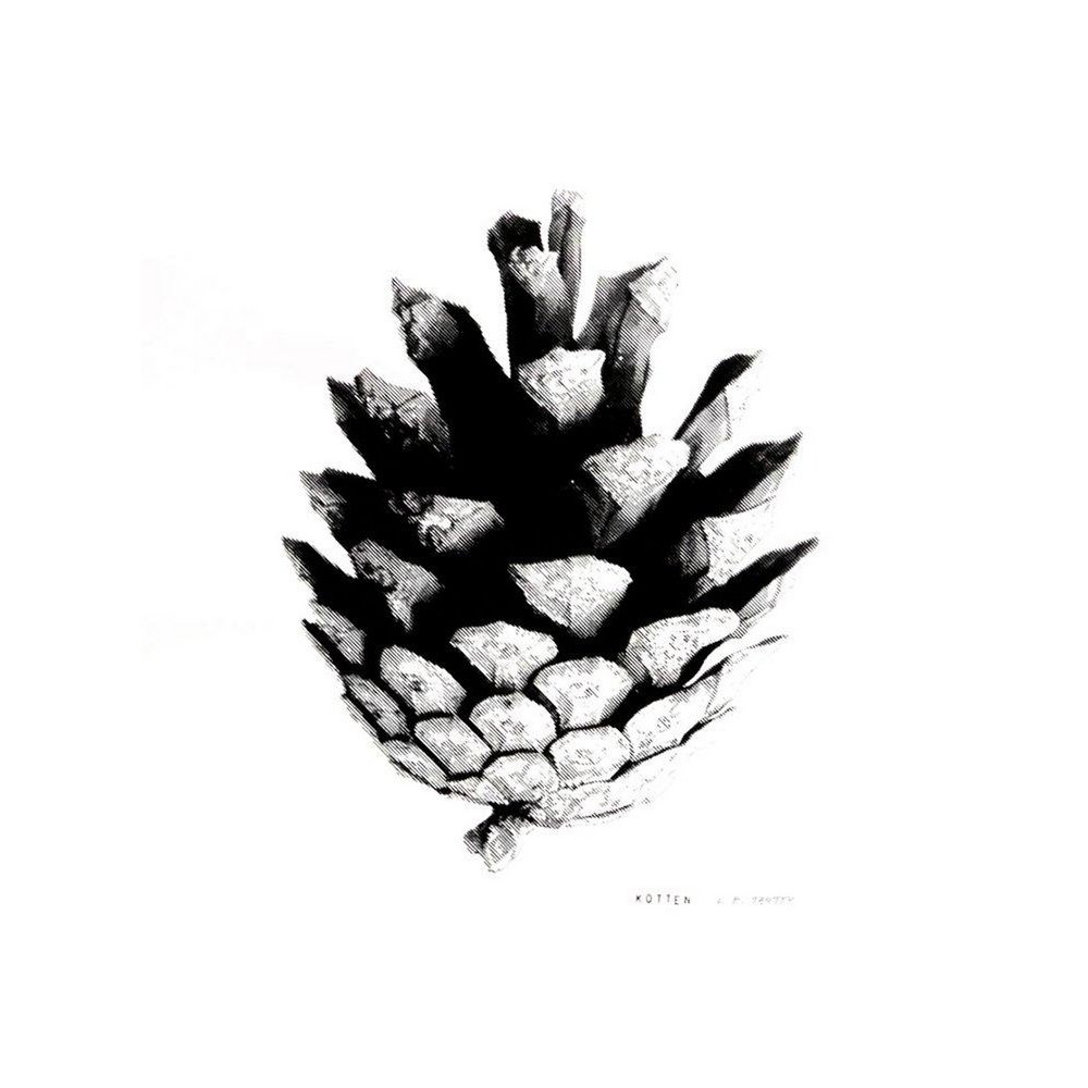 Kotten - S – screen print