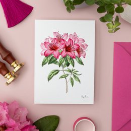 Pink Pack - Handgemachte Postkarten A6 mit Umschlag - Botanical Vintage