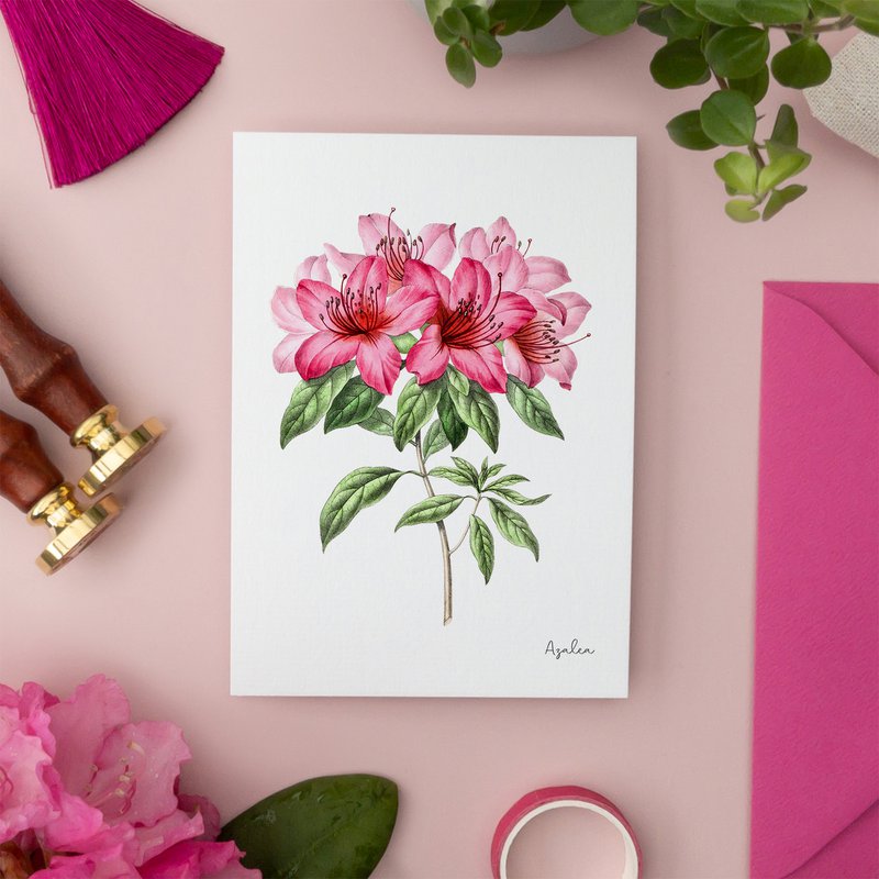Pink Pack - Handgemachte Postkarten A6 mit Umschlag - Botanical Vintage