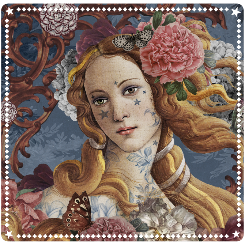 VENUS DRAWING MAT