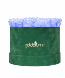 Velvet Green Collection
