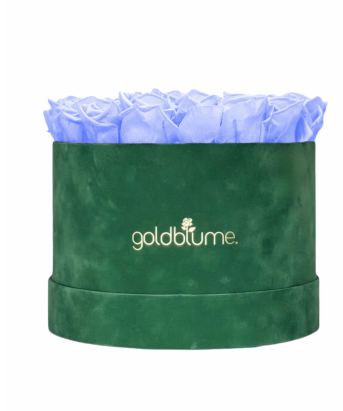 Velvet Green Collection