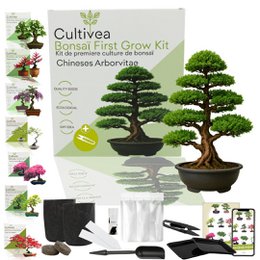 Kultiviert - First Bonsai Kit - First Bonsai Culture Kit mit Accessoires | Originalgeschenkidee