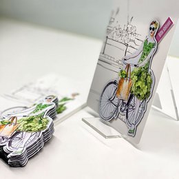 Magnes | Przypomnienie o wycieczce po Łabie