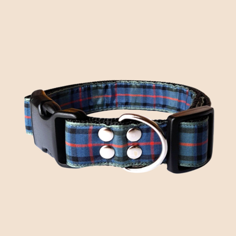 Flower of Scotland Tartan Collar