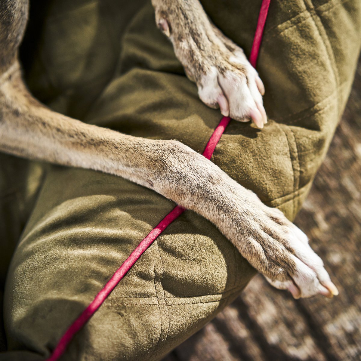 OXFORD I CLASSICO HUNDEBETT