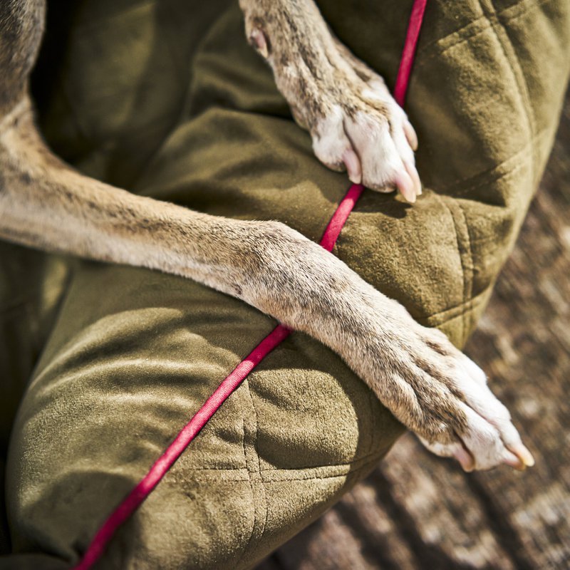 OXFORD I CLASSIC HUNDEBETT