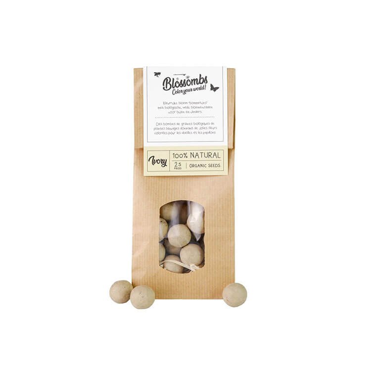 Kraft Bag 10 Pieces Seed Bomb