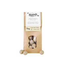 Kraft Bag 10 Pieces Seed Bomb