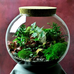 Spherical Glass Vase D-28 23 cm