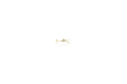 CHARLESTON ring S
