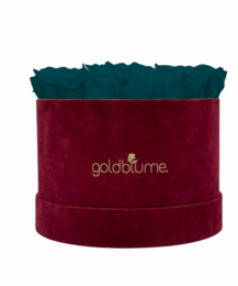 Velvet Bordeaux Collection
