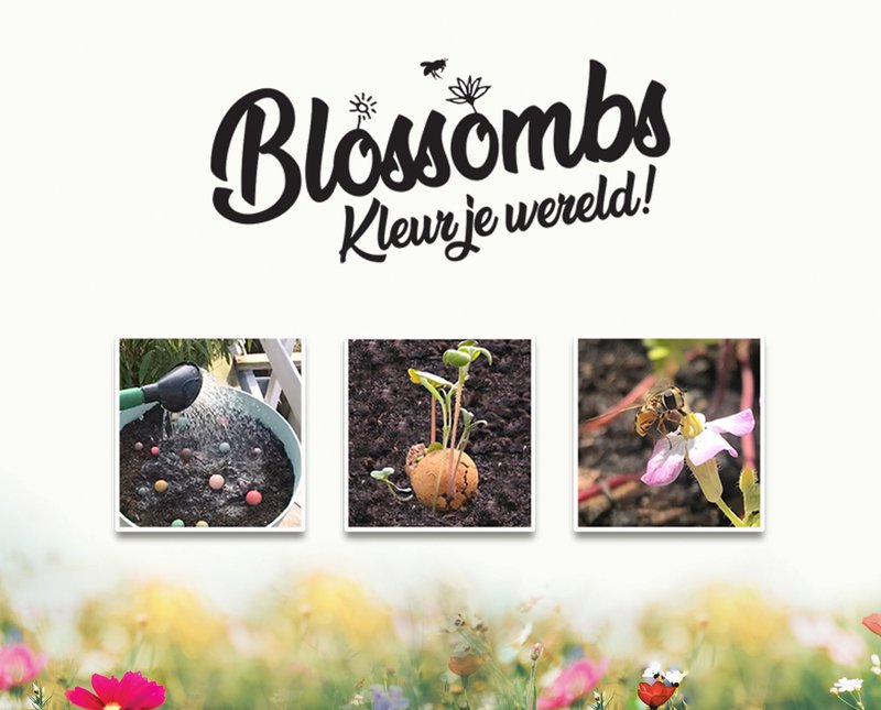 Giftbox mini with 4 Flower Seeds - Merry Christmas & Happy New Year!